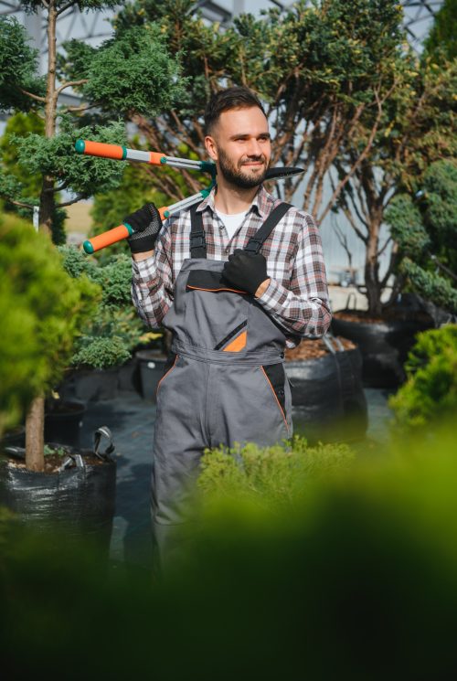 Garden Pruning Works to Maintain the Appearance of Shrubs, Bushes, Trees and Other Plants.