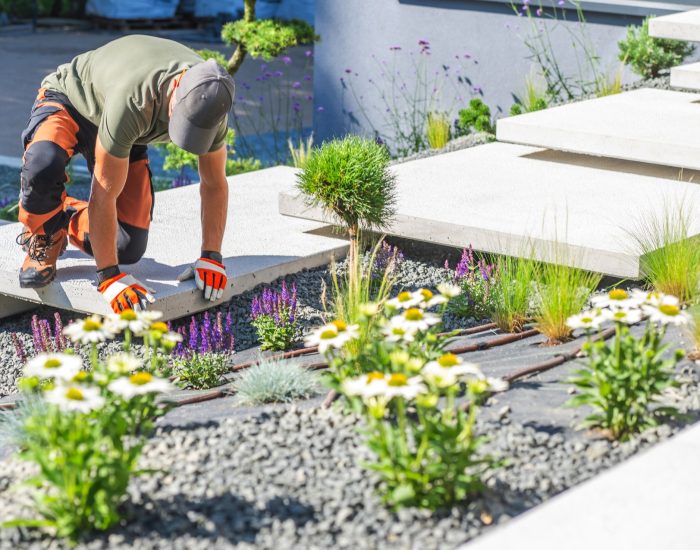 Gardener Planting Flowers in a Modern Landscape Design on a Sunny Day With Stone Pathways Gardener Planting Flowers in a Modern Landscape Design on a Sunny Day With Stone Pathways